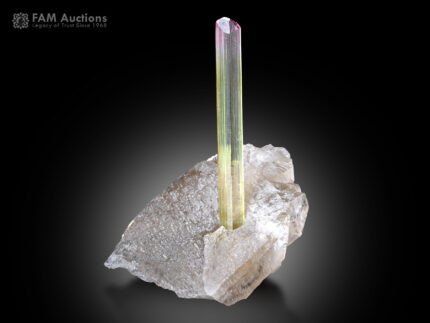 Tourmaline with Smoky Quartz