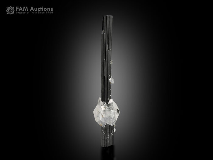 Schorl with Quartz