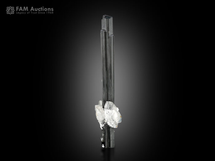 Schorl with Quartz