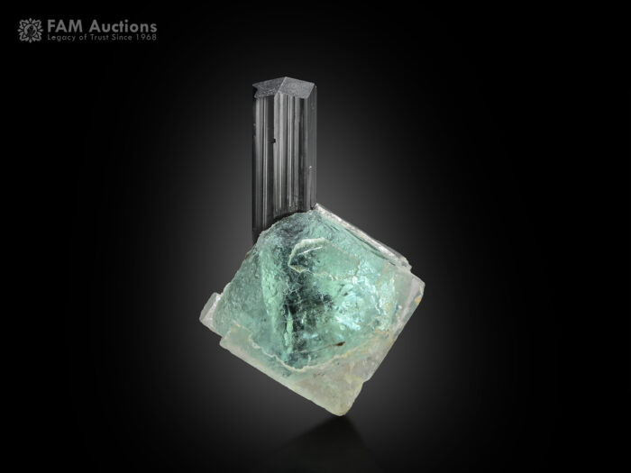 Schorl with fluorite from Stak Nala, Haramosh Mts., Roundu District, Gilgit-Baltistan, Pakistan.
