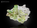 Tourmaline with albite from Chhappu, Braldu Valley, Shigar District, Gilgit-Baltistan, Pakistan.