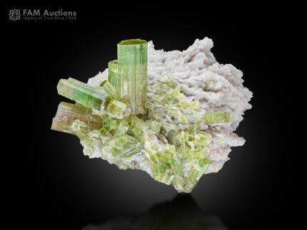 Tourmaline with albite from Chhappu, Braldu Valley, Shigar District, Gilgit-Baltistan, Pakistan.