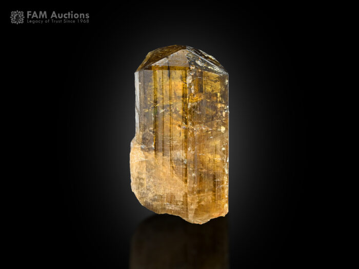 Zoisite crystal from Alchuri, Shigar Valley, Shigar District, Gilgit-Baltistan, Pakistan.