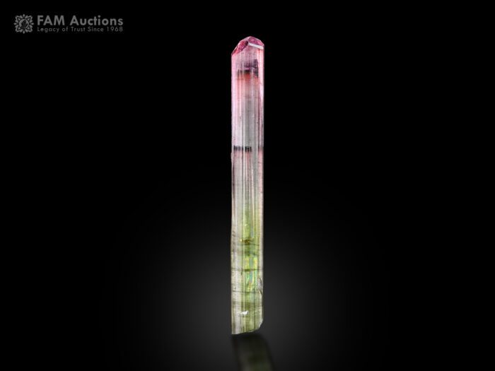 Bicolor tourmaline crystal from Paprok, Nuristan, Afghanistan.