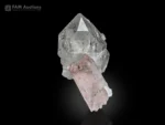 Quartz crystals with sharp, lustrous terminations alongside pale pink morganite, forming an elegant miniature specimen.