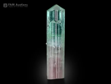 Bi-color tourmaline crystal from Afghanistan with a light pink base and grass-green termination, candy-like shape, and bright luster.