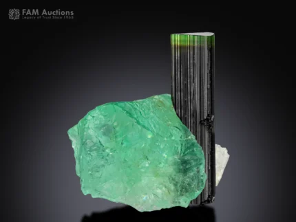 Natural green tourmaline crystal combined with fluorite and albite, a rare mineral specimen for collectors and display.
