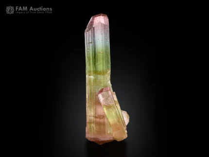 Multicolor tourmaline crystal from Paprok, Afghanistan, showing green and pink color zoning with bright natural luster.