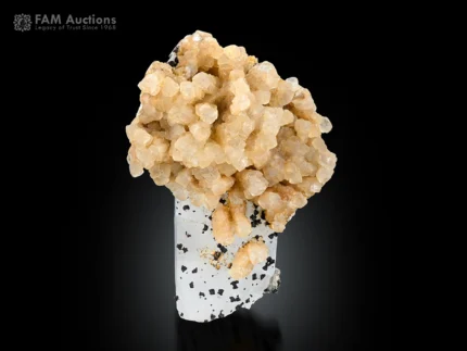 Honey colored calcite crystals clustered on a contrasting calcite matrix