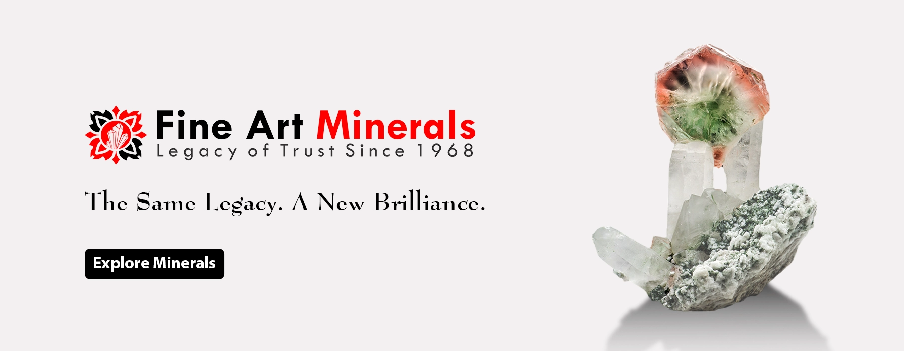 FAM Mid Ad Banner