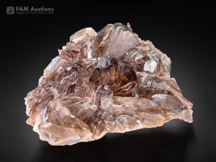 Brown axinite crystals cluster with wedge-shaped crystals from Pakistan.