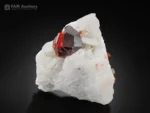 Blood red spessartine garnet crystal on white albite matrix from Shengus, Pakistan.
