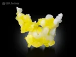 Bright lemon yellow brucite specimen with botryoidal formation and white crystalline contrast on a dark background.