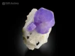 Purple apatite crystal on albite matrix, vibrant color specimen.