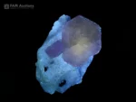 Purple apatite crystal on albite matrix, vibrant color specimen.