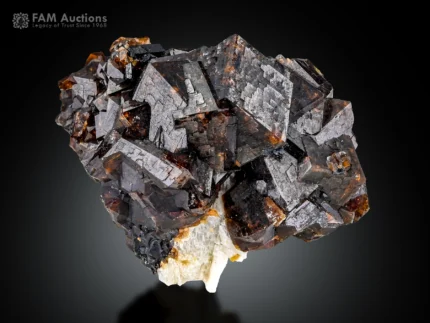 Dark lustrous andradite garnet crystals on white albite matrix