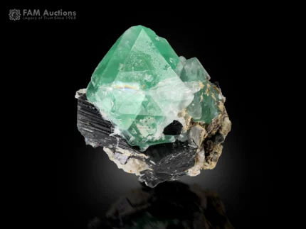 Green fluorite crystal with black schorl creating a strong contrast.