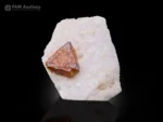 Microlite crystal on white feldspar matrix with sharp geometry and contrast.