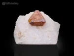 Microlite crystal on white feldspar matrix with sharp geometry and contrast.
