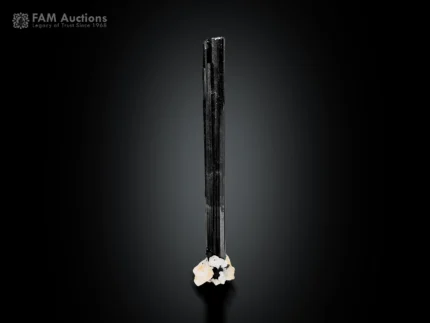 Elongated black schorl crystal with white albite matrix from Pakistan