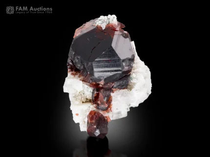 Dark red spessartine garnet crystal on white albite matrix with strong contrast.