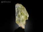 Transparent yellowish-green spodumene var. triphane crystal.