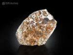 Honey-brown andradite garnet crystals are dispersed throughout a white matrix in the specimen.