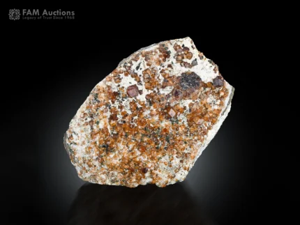 Honey-brown andradite garnet crystals are dispersed throughout a white matrix in the specimen.