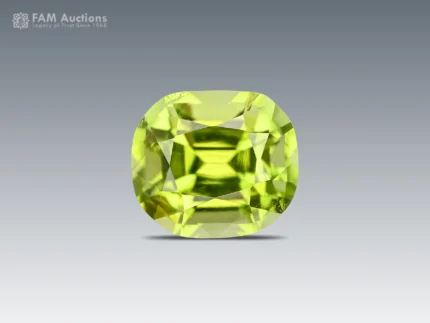 1.20-carat cushion-cut peridot from Pakistan with a fresh apple-green color and bright reflections.