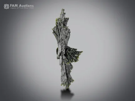 Tree-like epidote specimen with lustrous radiating crystals.