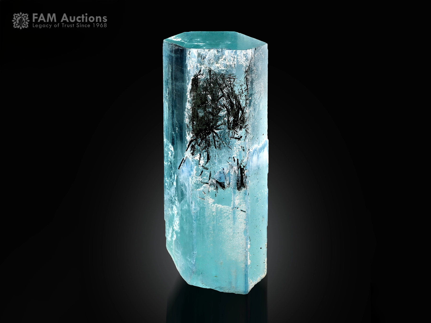 Aquamarine Crystal Schorl Spray (2) Blue aquamarine crystal with black schorl spray inclusions from Pakistan