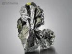 Bow-tie epidote crystal cluster with black radiating crystals and subtle green tints.