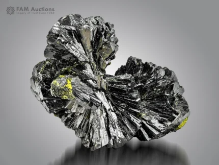 Bow-tie epidote crystal cluster with black radiating crystals and subtle green tints.