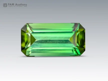 5.15 carat emerald-cut green tourmaline with eye-clean clarity from Afghanistan