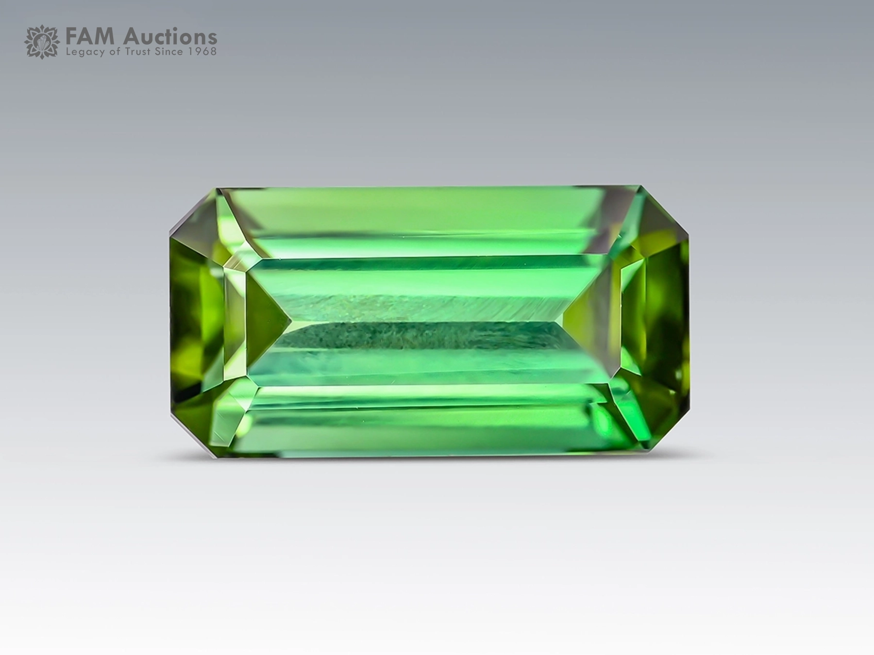 Emerald Cut Green Tourmaline (2) 5.15 carat emerald-cut green tourmaline with eye-clean clarity from Afghanistan