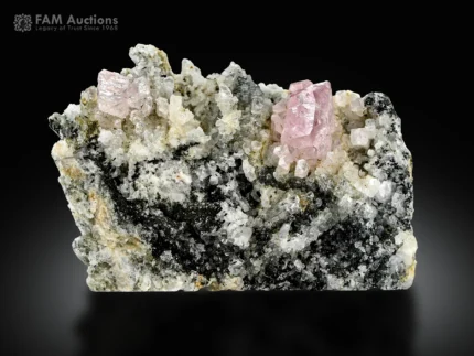 Pink apatite crystals on feldspar, quartz, and tourmaline matrix from Pakistan.
