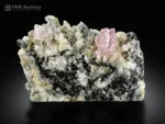 Pink apatite crystals on feldspar, quartz, and tourmaline matrix from Pakistan.