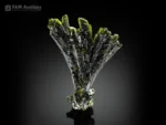 Green epidote tree crystal specimen from Pakistan.