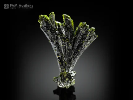 Green epidote tree crystal specimen from Pakistan.