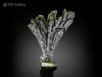 Green epidote tree crystal specimen from Pakistan.