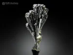 Epidote tree with deep green elongated crystals and superb luster.