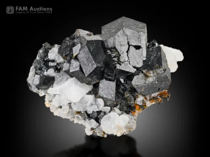 Dark garnet crystal cluster associated with contrasting white calcite.