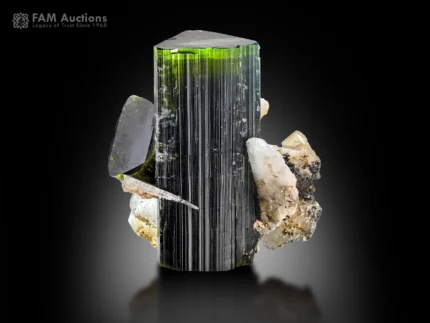 Green cap tourmaline crystal with cleavelandite showing vivid green termination and strong color contrast.