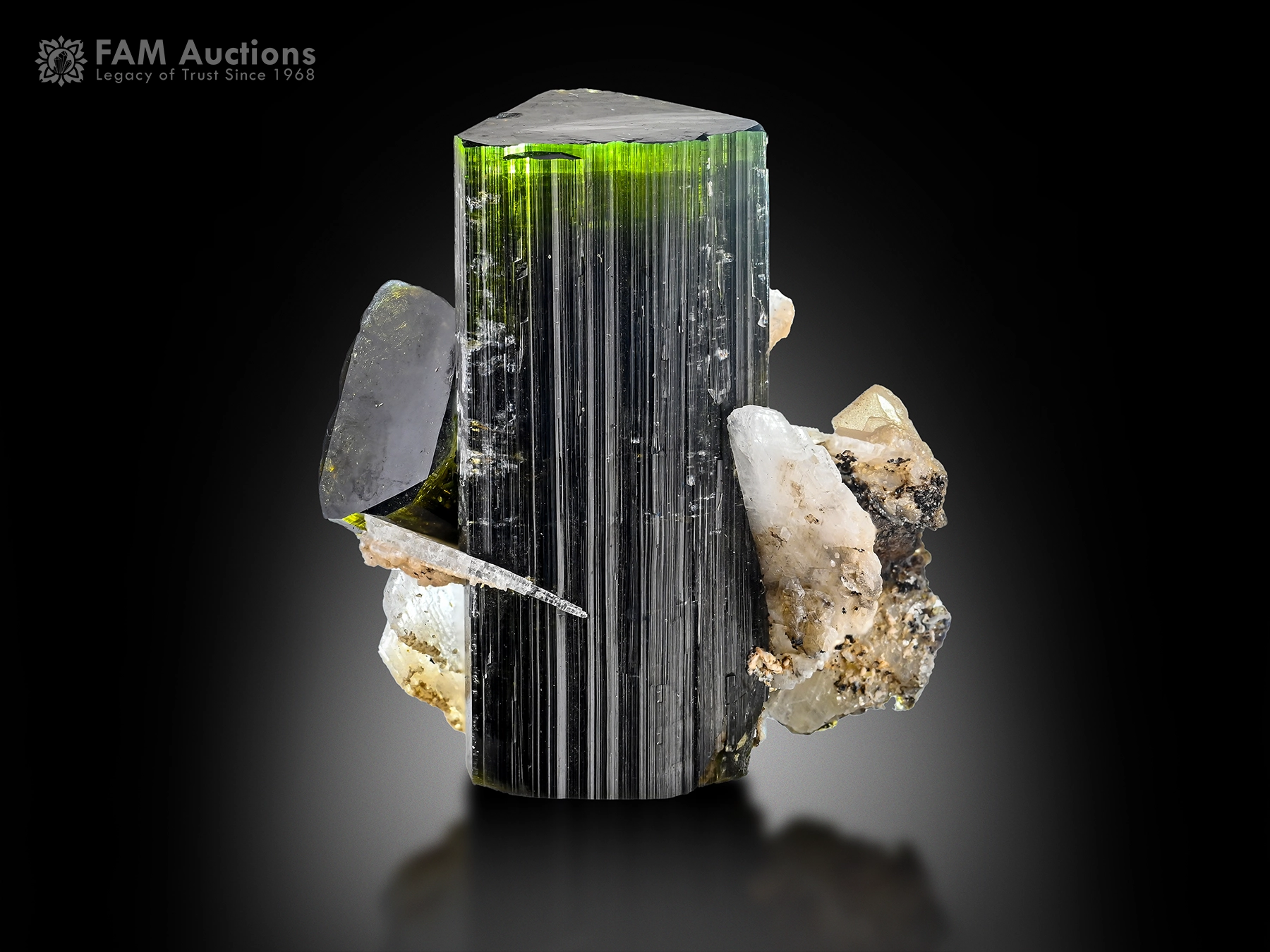 Green Cap Tourmaline Cleavelandite Green cap tourmaline crystal with cleavelandite showing vivid green termination and strong color contrast.
