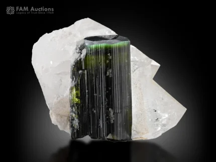 Green cap tourmaline crystal with vivid green termination on contrasting white quartz.
