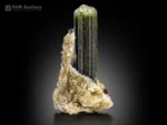 Green tourmaline crystals with mica, cleavelandite, and spessartine garnet on matrix.
