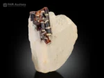 Brown vesuvianite idocrase crystals with white calcite