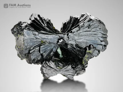 Glossy dark green bow-tie epidote with radiating fan-like crystal growth from Pakistan.