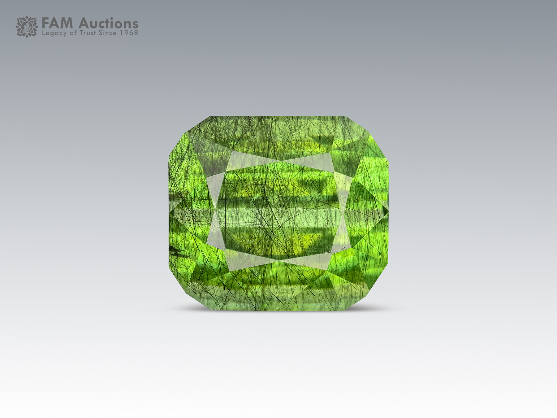 Ludwigite Included Peridot Pakistan 14.35 carat cushion cut green Peridot with dark Ludwigite inclusions from Pakistan.