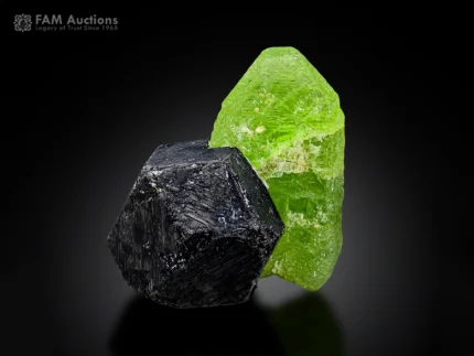 Apple green Peridot with sharp black Magnetite crystal showing strong natural contrast.